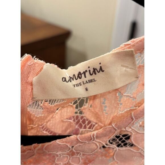 Amorini The Label Women Floral Crochet Lace Overlay Sheath Dress Pink Medium NWT - Picture 5 of 6